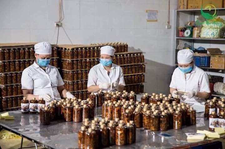 Xoa bóp Thanh Mộc Hương