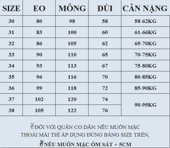 [HCM][40kg~90kg] QUẦN JEAN NỮ BIG SIZE RÁCH ĐẸP 2392 - MoliJeans