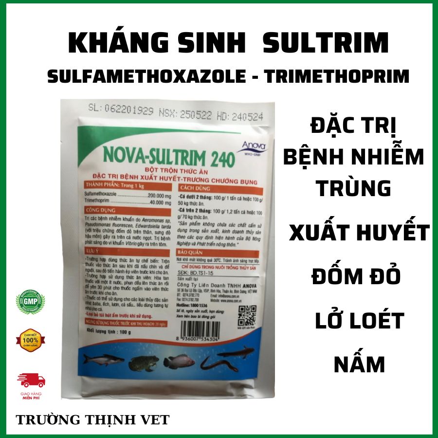 Kháng sinh trị bệnh nhiễm trùng, xuất huyết đốm đỏ