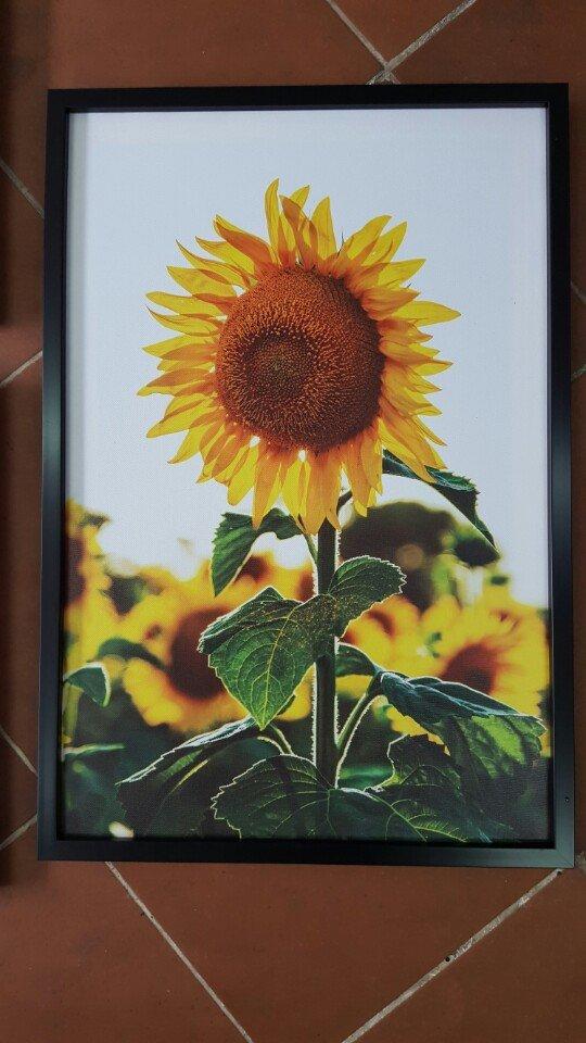 [HCM]Tranh canvas hoa nghệ thuật 40x60 kèm khung (SG01)