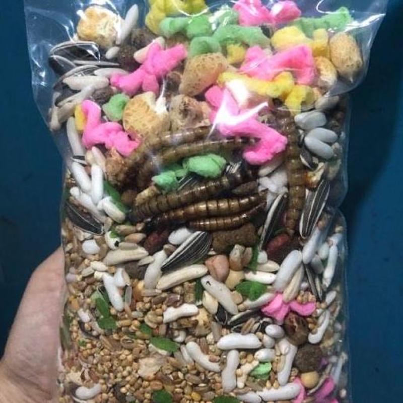 Thức ăn ngũ cốc cho hamster hamster chuột sóc bọ bịch 500gram có sâu khô cung cấp đủ dinh dưỡng