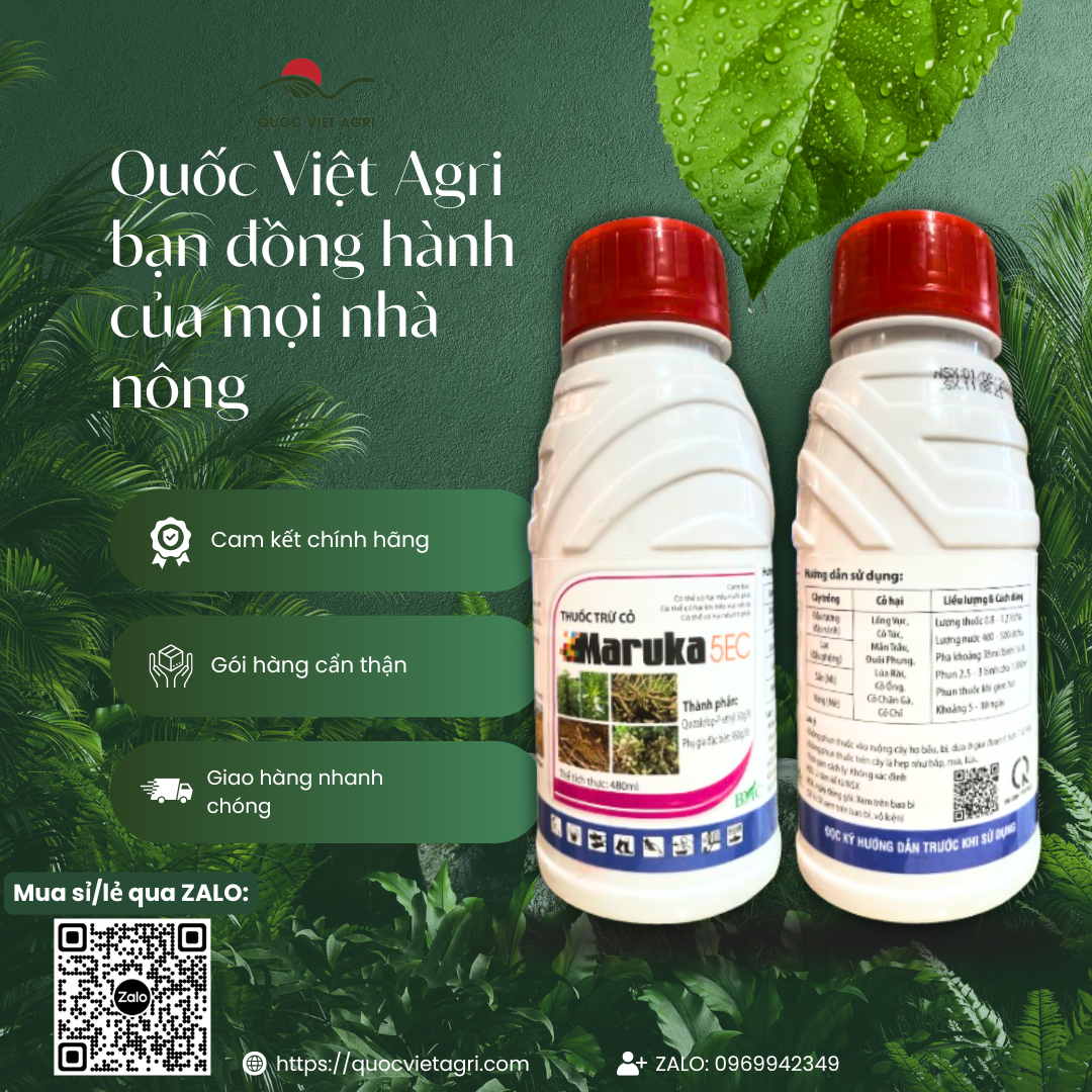 Thuốc trừ cỏ MARUKA 5EC (480ml - 900ml) - Quizalofop P ethyl 50g/l Diệt cỏ lồng vực, cỏ túc, mần trầu, đuôi phụng, cỏ ống, chân gà, cỏ chỉ, lúa rài