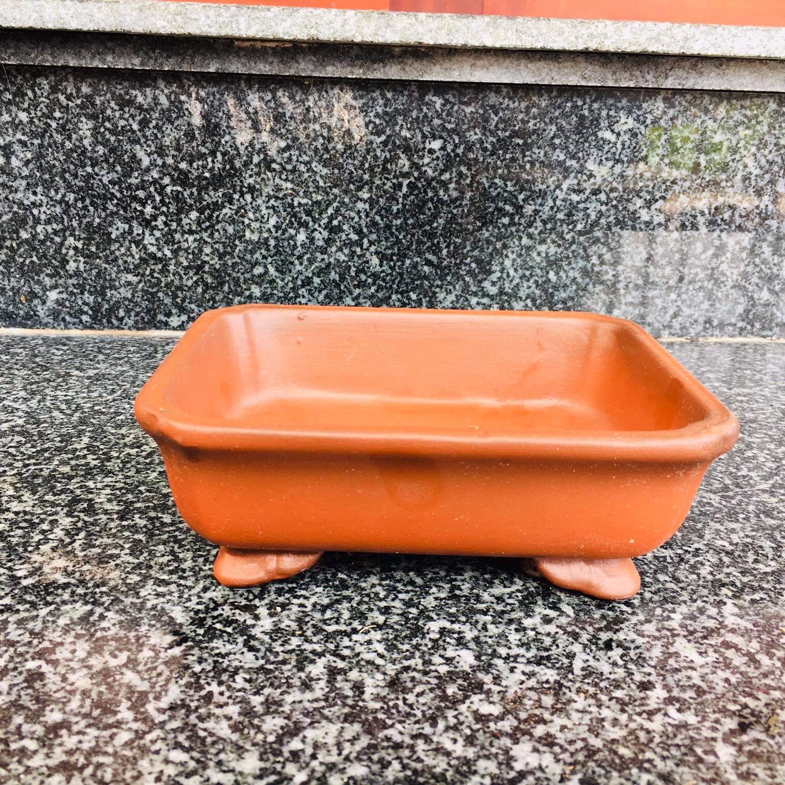 Chậu chữ nhật múi mini