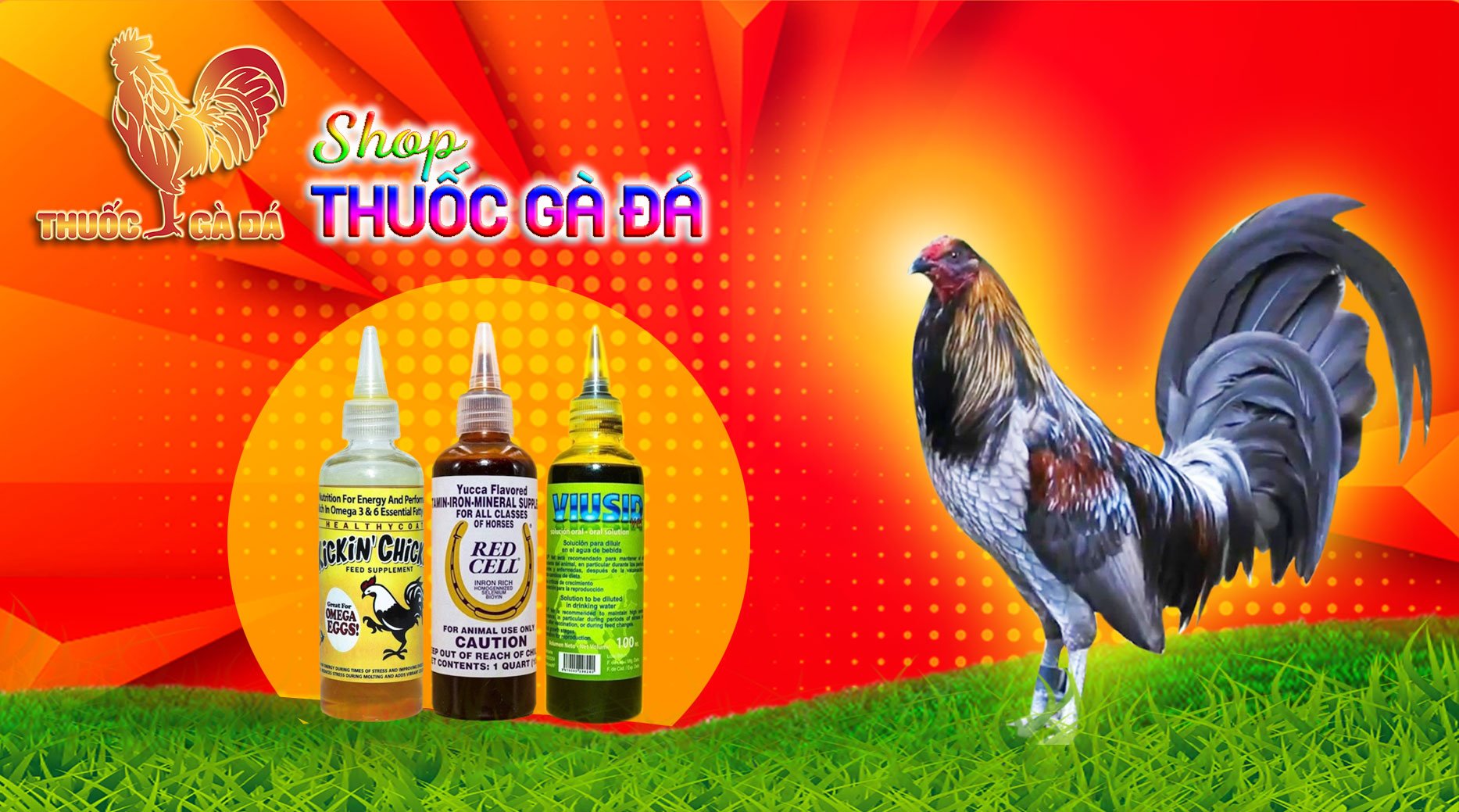 Muổng đo lườn thức ăn cho gà đá