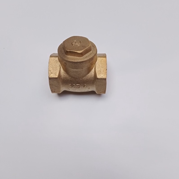 One-Way Valve Leaf of Allies 34
