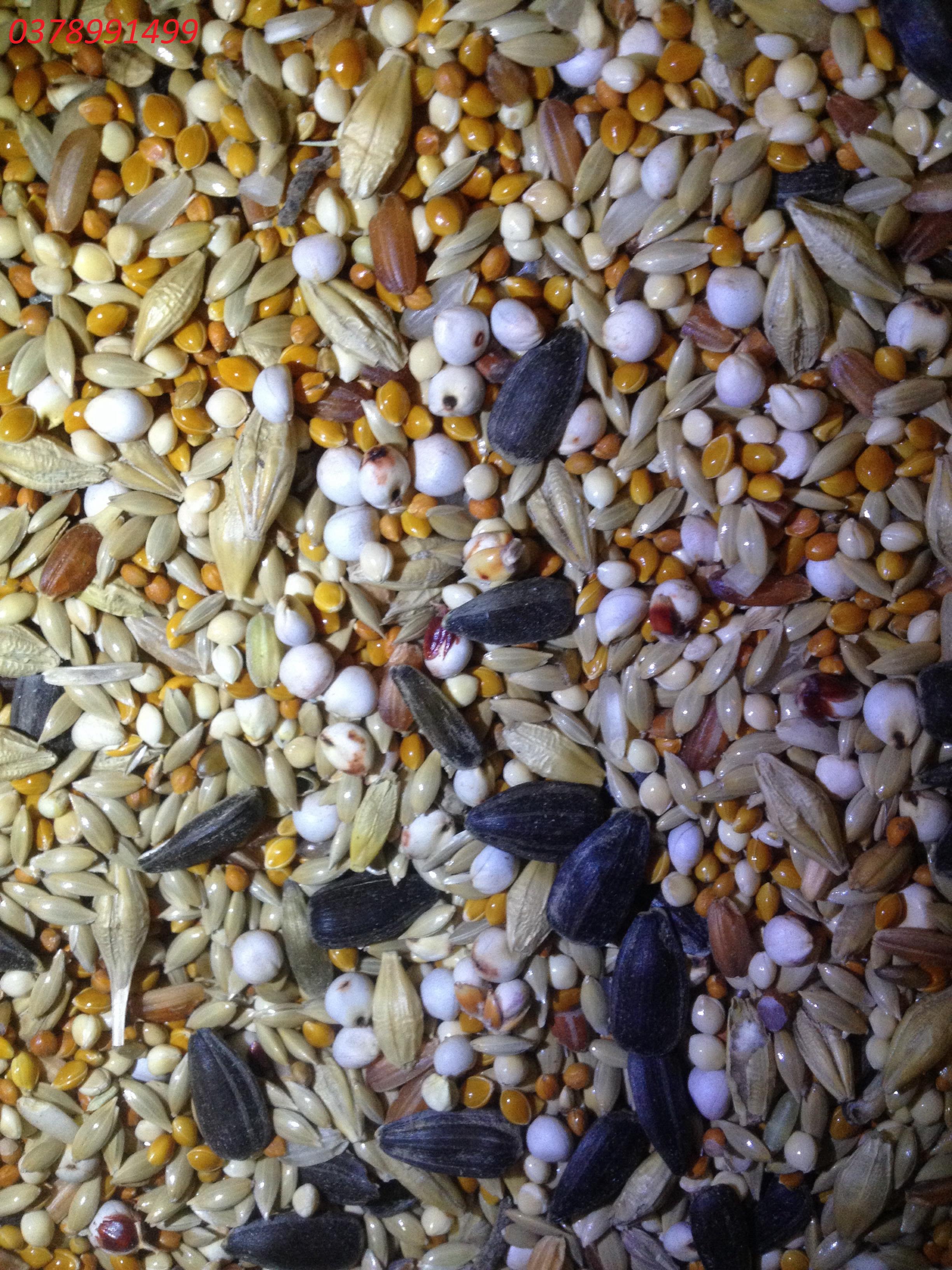 Hạt tổng hợp thức ăn cho chim - 1kg