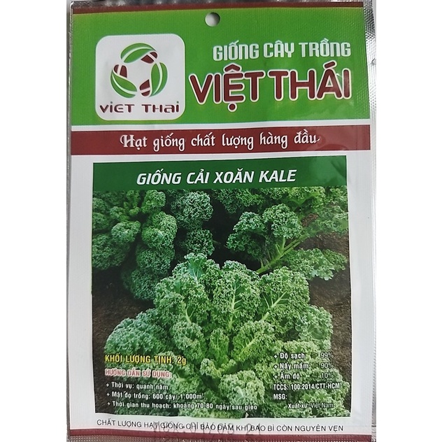 HẠT GIỐNG CẢI XOĂN KALE gói 5gr