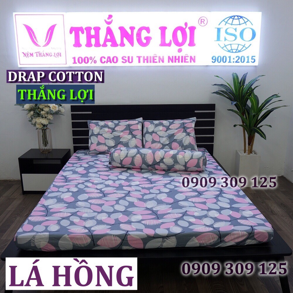 Bộ drap cotton 100%, ga giường cao cấp in logo cty lá hồng