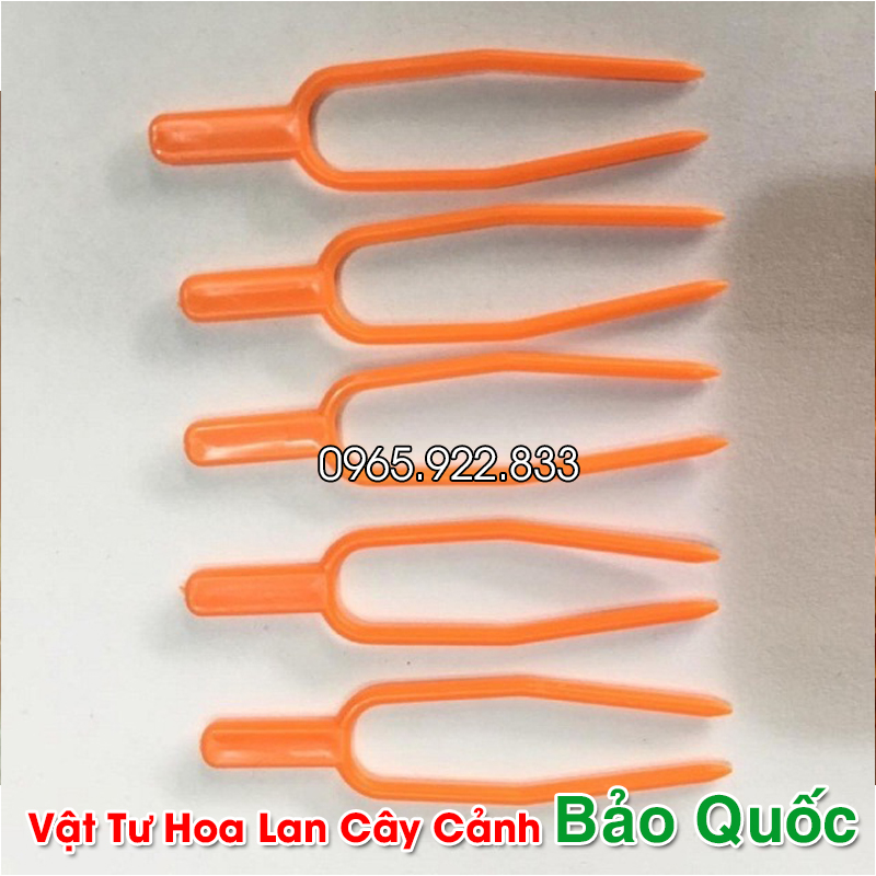 Ghim cố định Kie (5 chiếc) cho Hoa Lan