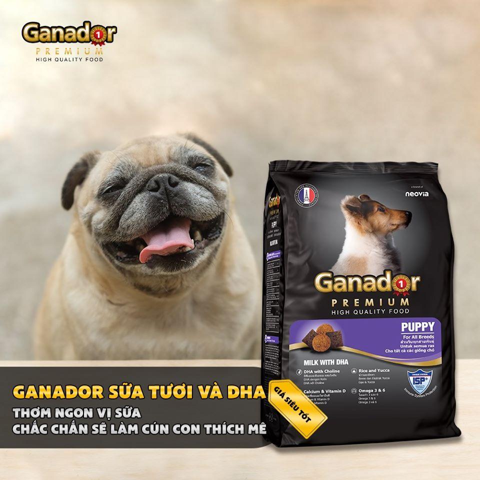 10Kg Thức ăn cho chó Ganador puppy vị sữa & DHA - Thức ăn hạt cho chó con dưới 1 tuổi - Phụ kiện thú cưng TLC