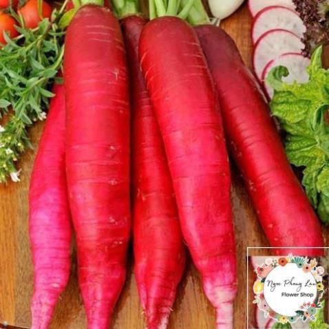 Hạt Giống Củ Cải Đỏ Dài - Gói 5 Gram