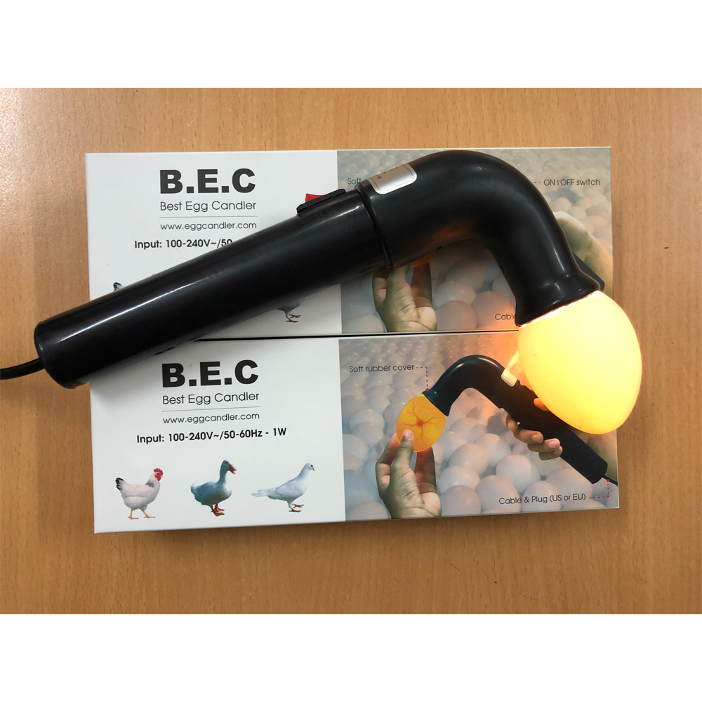 Đèn soi trứng Taiwan cao cấp [HCM]