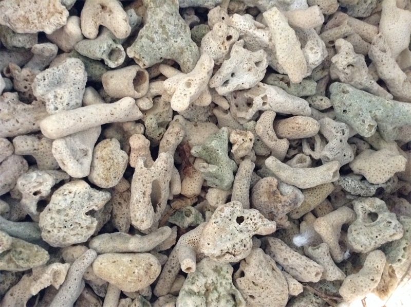 SAN HÔ LỌC NƯỚC HỒ CÁ 1KG