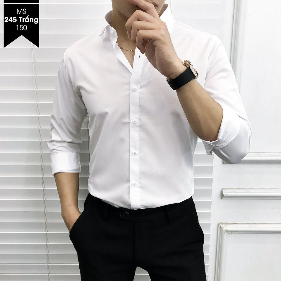 Áo sơ mi nam vải lụa nến Thái ( Trắng cúc trắng )