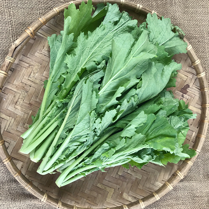 Hạt Giống Rau Cải Mèo Dễ Trồng (074.F1)