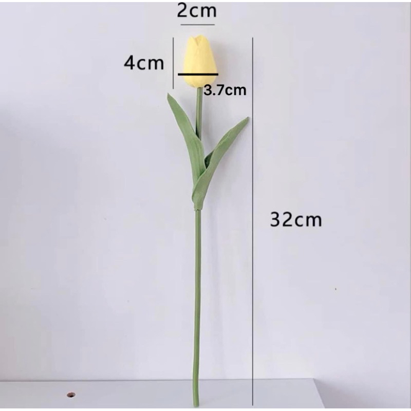 HOA TULIP cao su non mini