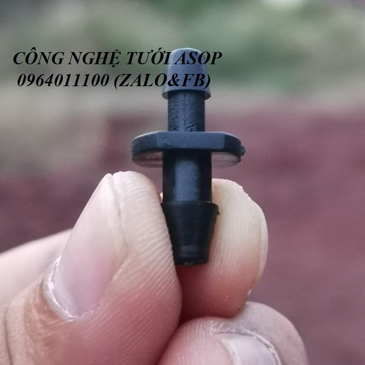 100 KHỞI THỦY 6MM