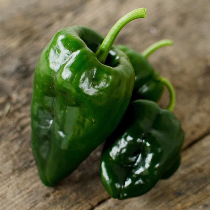 Hạt Giống Ớt Ngọt Xanh Ancho
