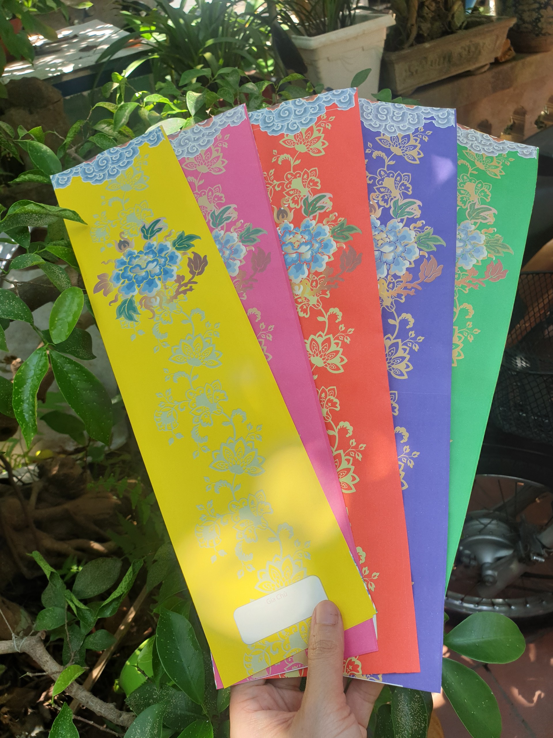 100 vỏ sớ, bao liêm sớ long vân thủy ba 9x31cm