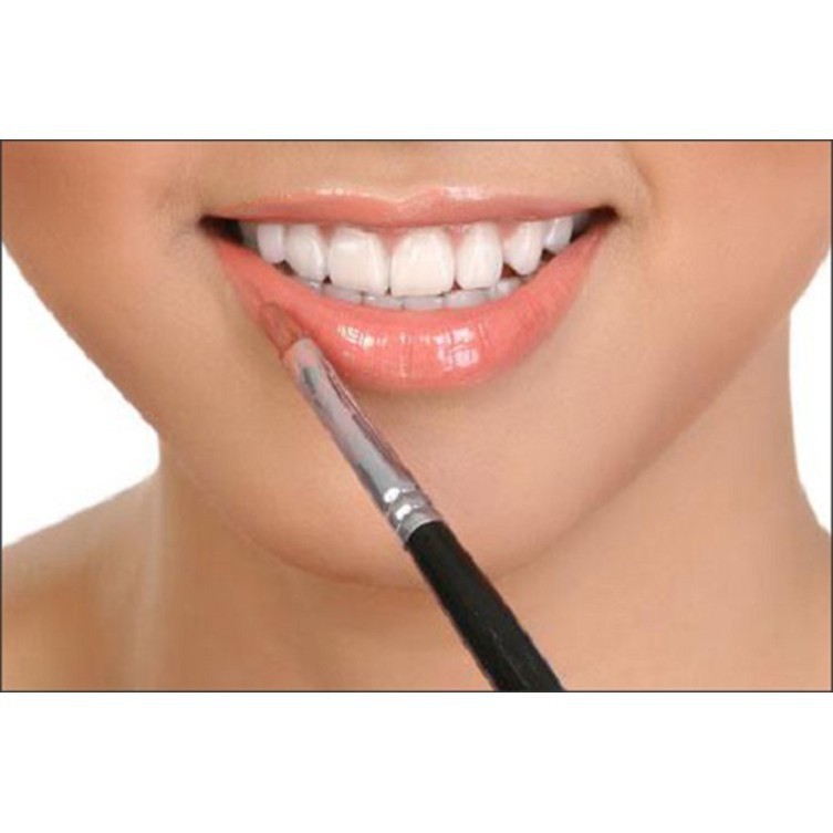 [HCM]Cọ Môi The Face Shop One Touch Lip Brush