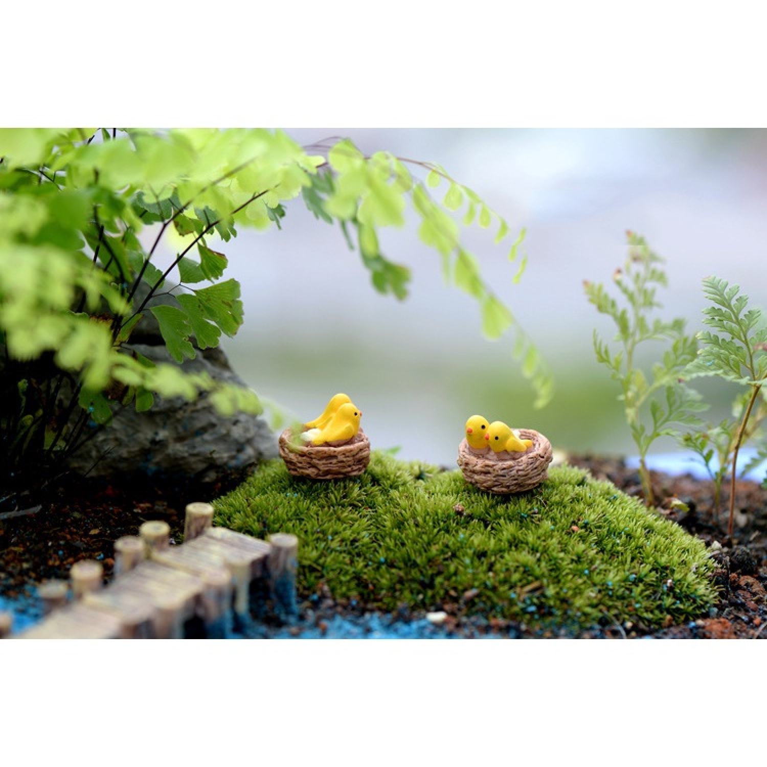Tổ chim mini trang trí tiểu cảnh, sen đá, terrarium