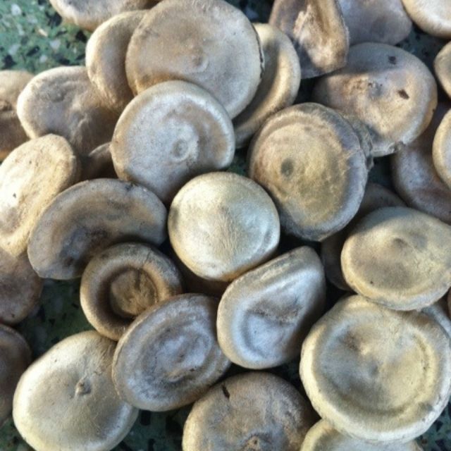 Hạt mã tiền khô 500g - tấn phát