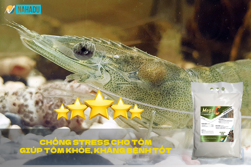 VITAMIN C TẠT CHO TÔM - TÚI 5KG
