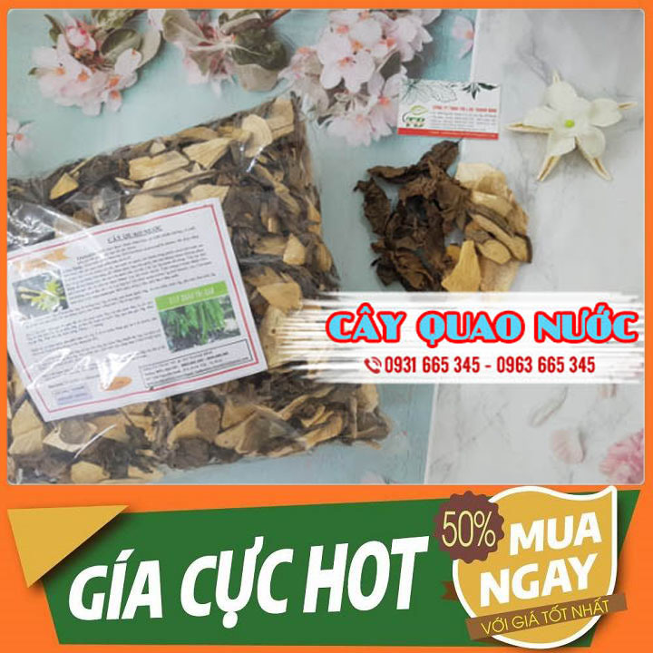 Cây Quao Nước Khô 100G Hàng CTy Loại Đặc Biệt - Thảo Dược Thanh Bình
