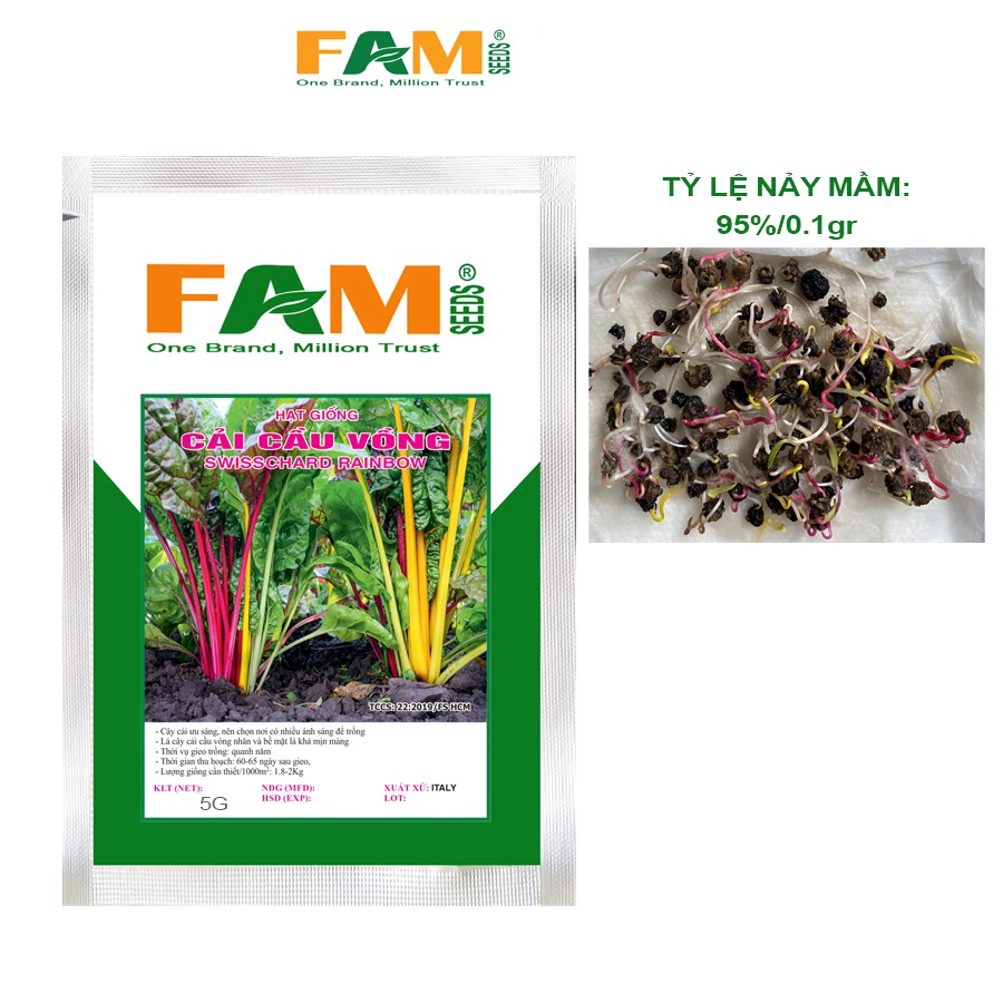 Gói 5gr Hạt Giống Cải Cầu Vòng FAM SEEDS - Hạt nảy mầm khỏe, Lớn nhanh, Thân nhiều màu sắc hấp dẫn, Lá bóng nhẵn, Nhiều dinh dưỡng