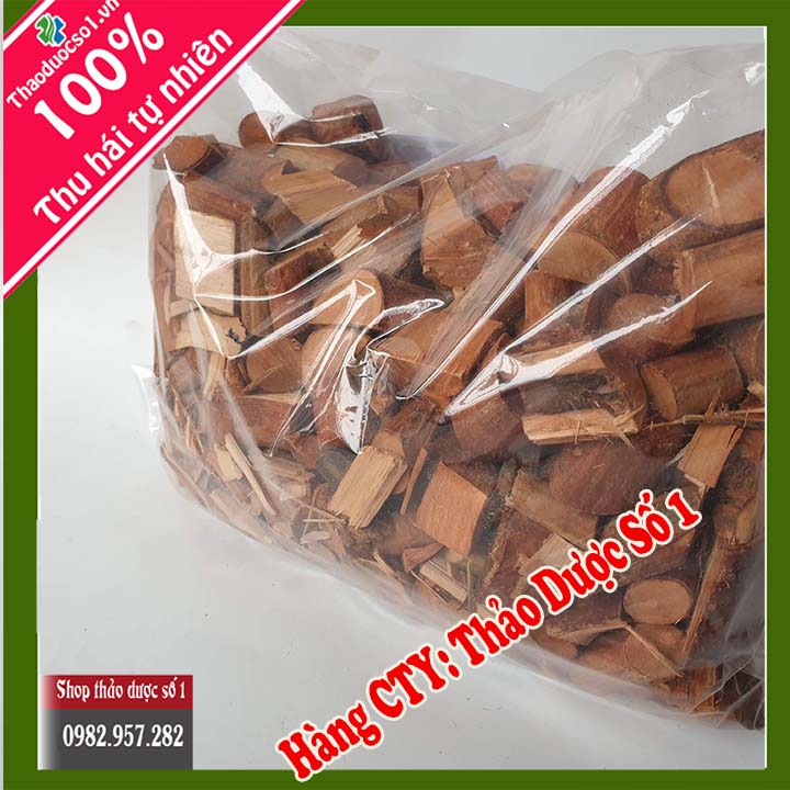 Cây mú từn - Bổ Thận Mạnh Cốt
