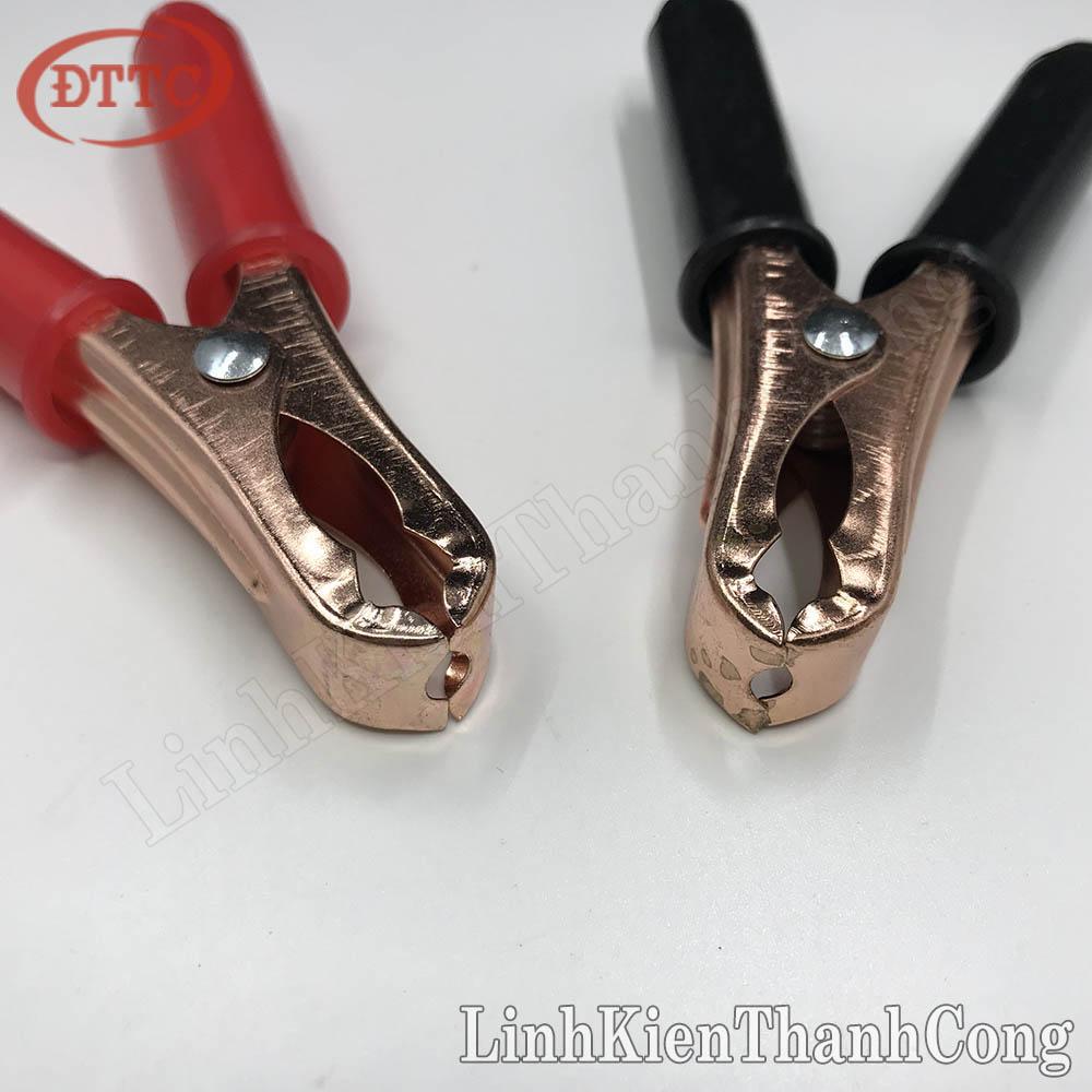 Kẹp Acquy TK