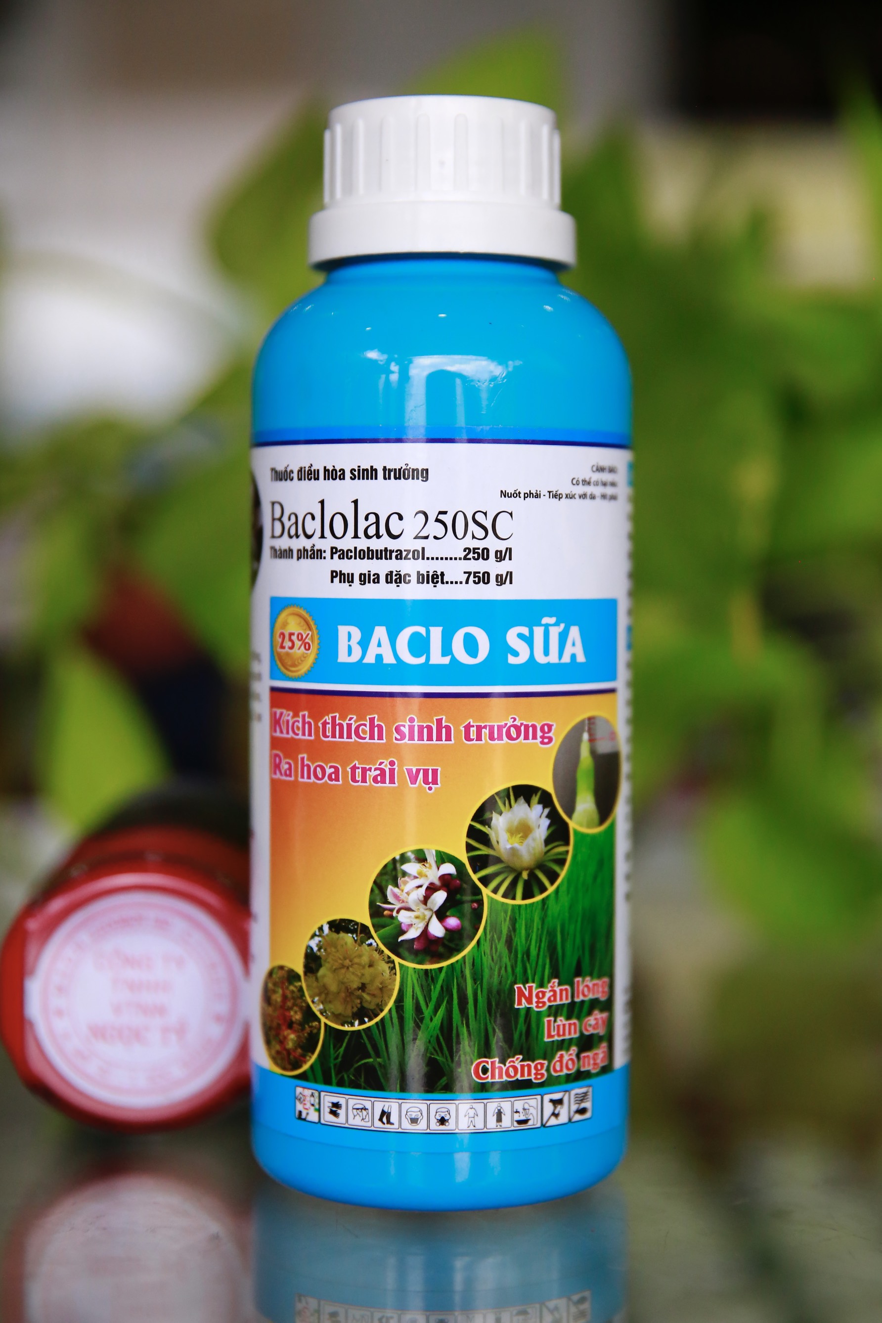THUỐC NGẮN LÓNG BACLO sữa của GLOBAL FARM
