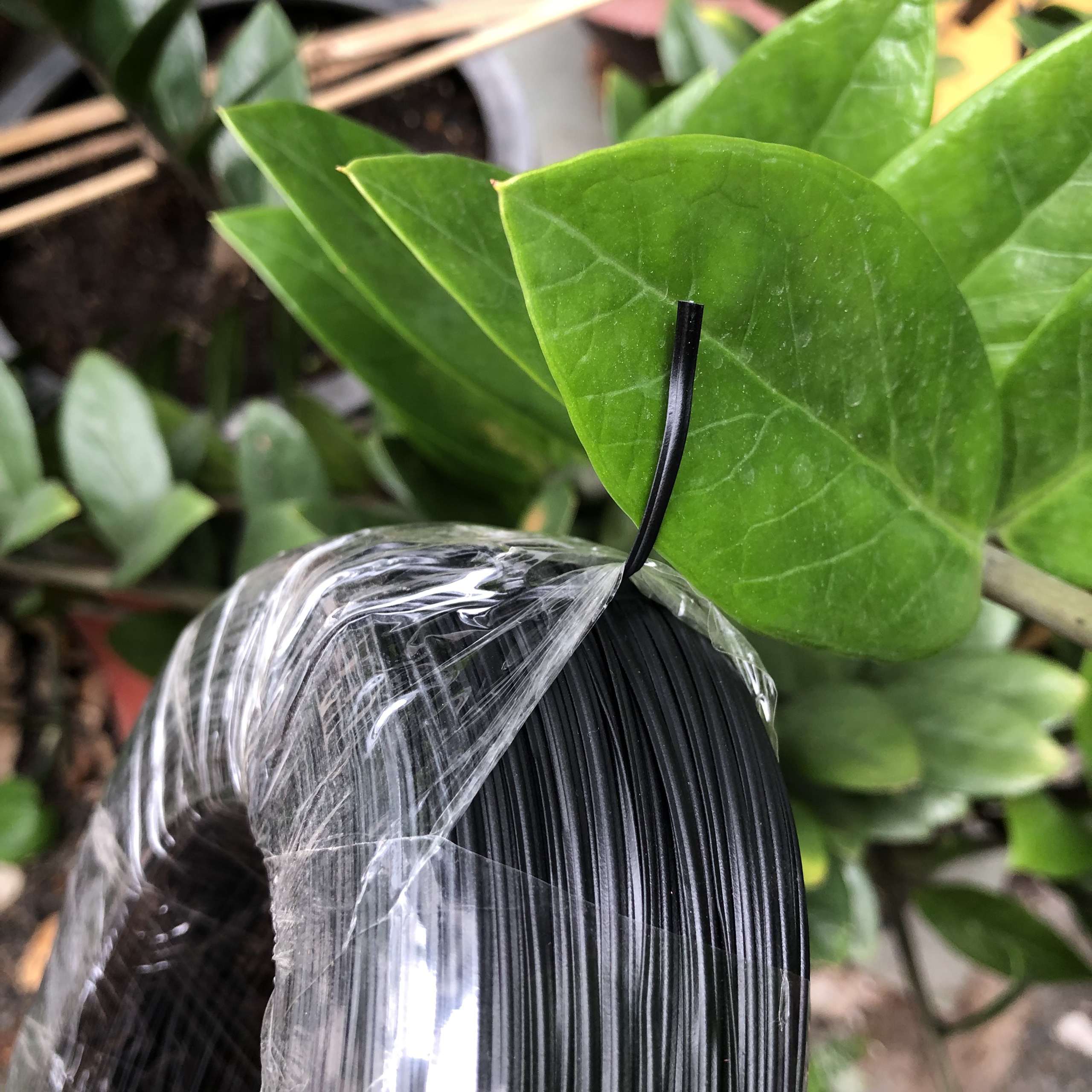DÂY KẼM LAN BỌC NHỰA ĐEN - 1kg