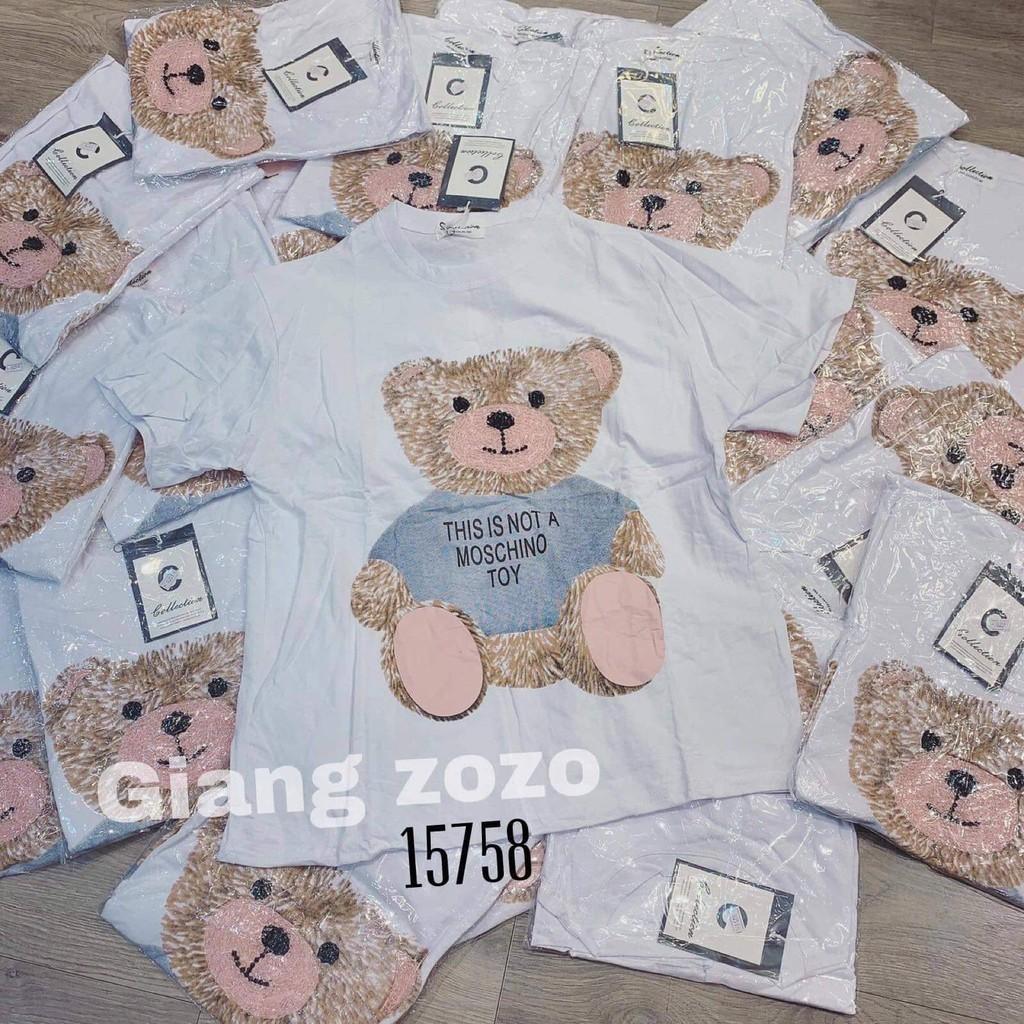 Áo phông gấu Mo chi DTR0319