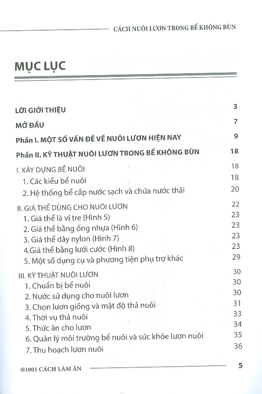 Cách nuôi Lươn trong bể không bùn