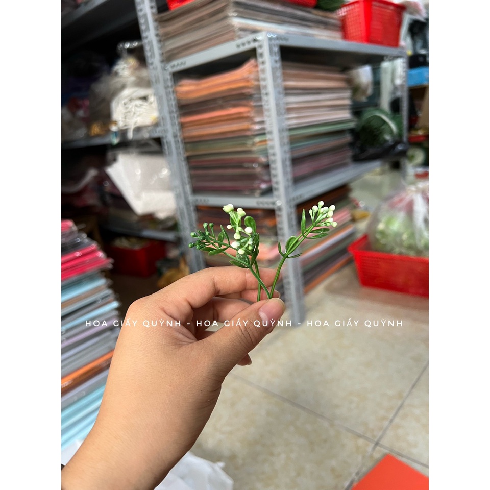 100gr hoa cỏ điểm trang trí - phần 2