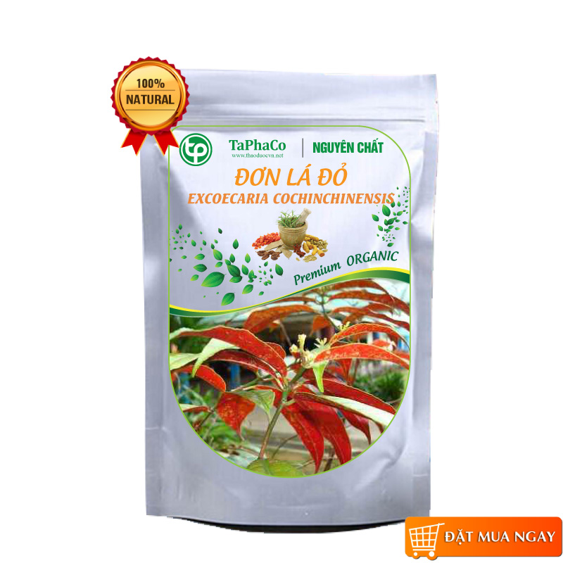 Cây đơn lá đỏ sấy khô 500g - tấn phát