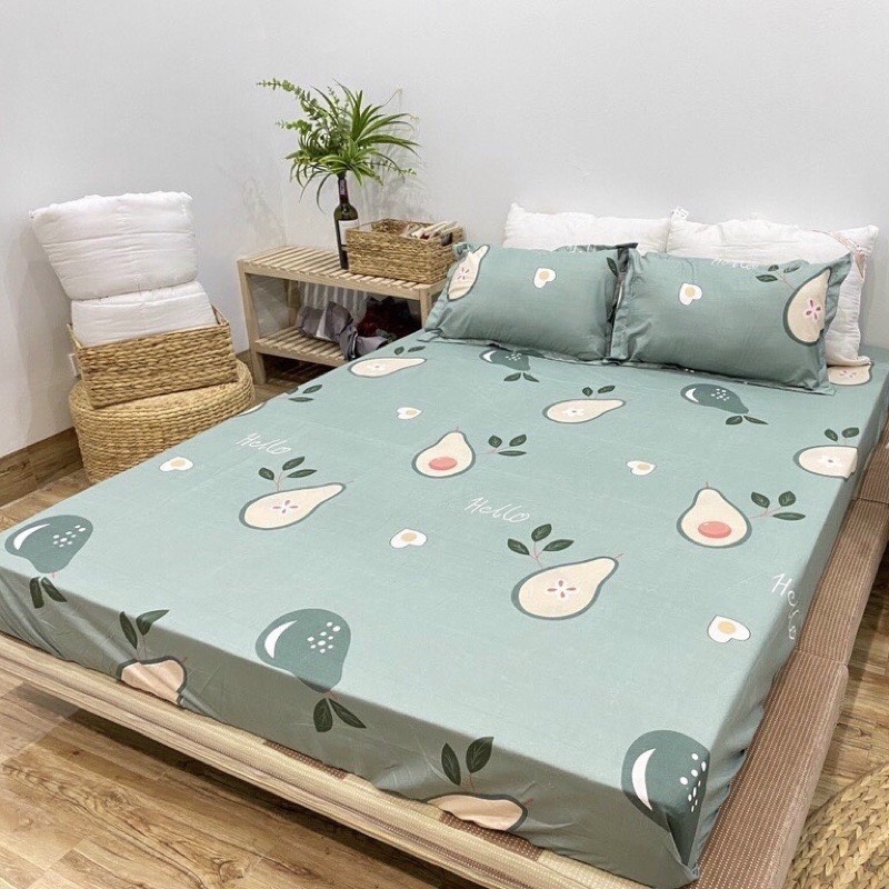 Ga trải giường m6/m8 drap giường poly nhiều mẫu lựa chọn