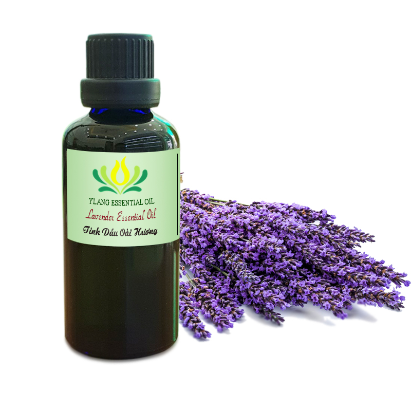 Tinh dầu Oải Hương (Lavender) - 10ml, 50ml, 100ml