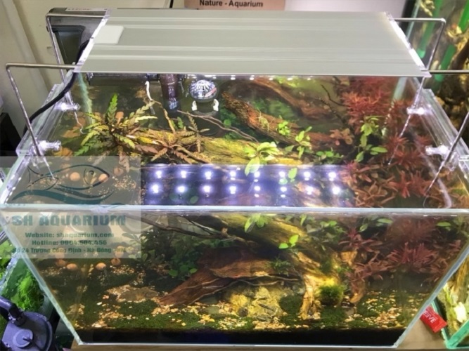 [HOÀN TIỀN 10%]ĐÈN LED TRẮNG MÁNG NHÔM AQUABLUE SIÊU SÁNG 45CM