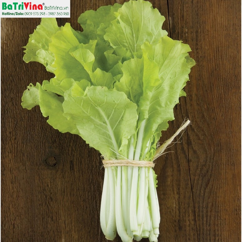 Hạt Giống Cải Bẹ Dún  Sen Vàng Gói 10Gram