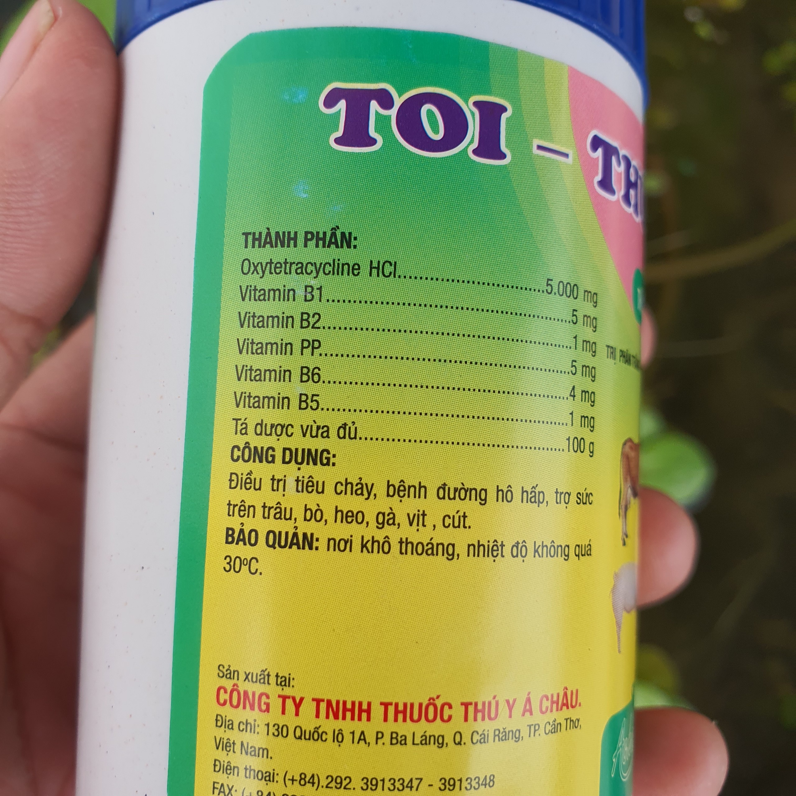 Toi typhoid