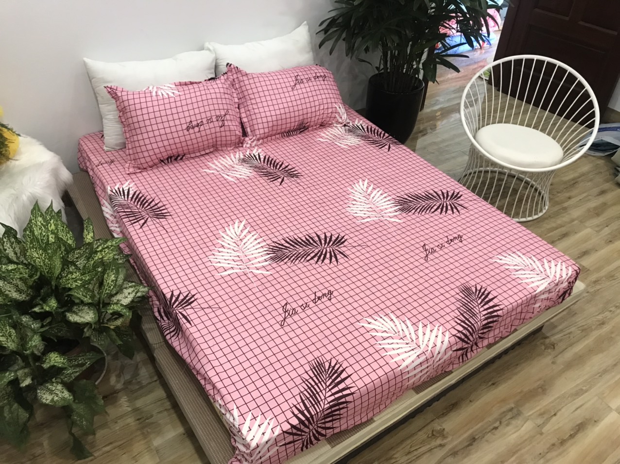Set Ga Gối 3 Món (Gồm 1 Ga bo chun + 2 Vỏ Gối Nằm) SGG P29