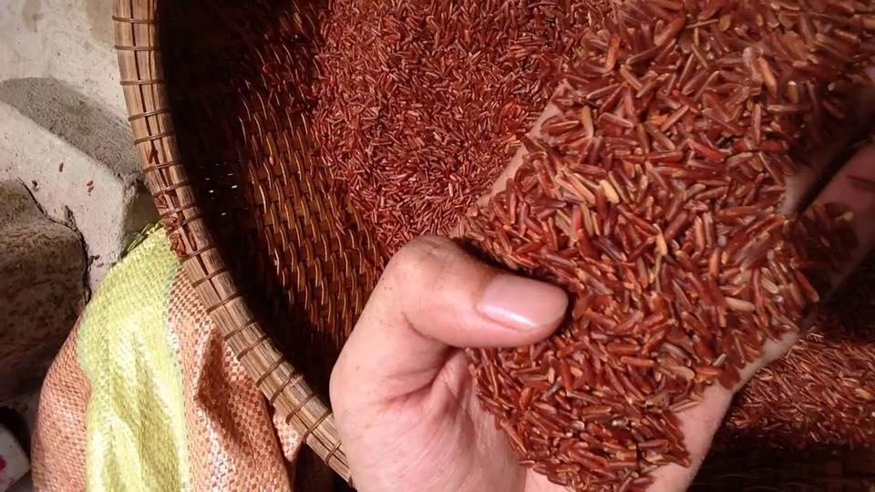 2kg gạo lứt rang chín