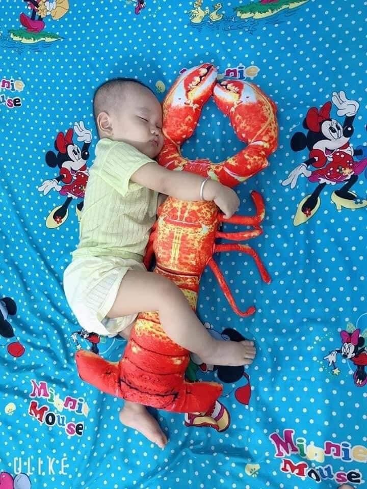 Gấu bông tôm, cua 3D giống thật