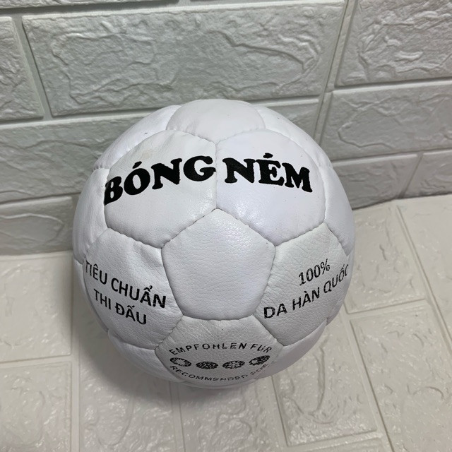 Bóng ném tiêu chuẩn thi đấu