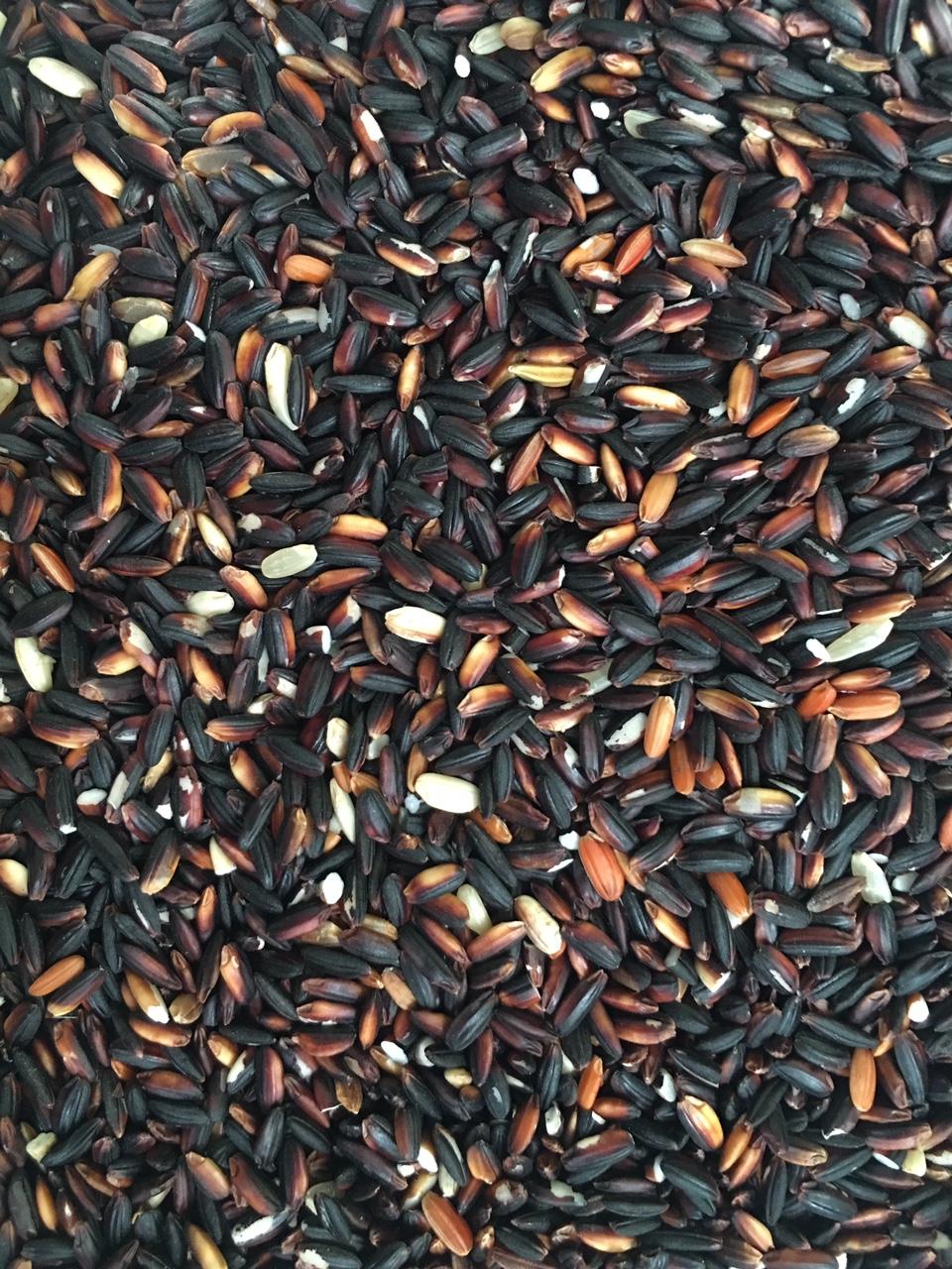 Northern Cam Bamboo Rice (Excellent Quality) - 1kg Bag