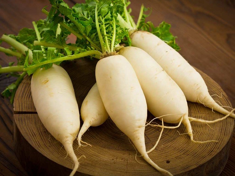 Combo 4 gói hạt giống rau lấy củ dễ trồng