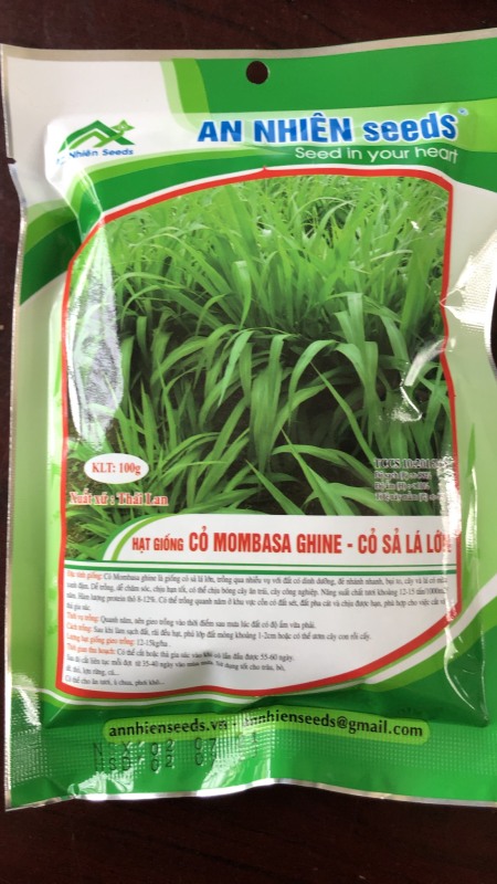 Hạt giống cỏ chăn nuôi Mombasa Ghine (Cỏ Sả Lá Lớn) Túi 100g