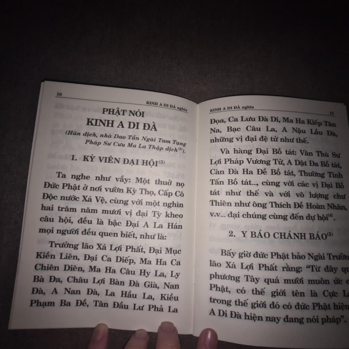 Kinh A Di Đà Nghĩa HT Thích Trí Tịnh